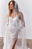 Bride in a lace wedding dress with a matching veil_XS_